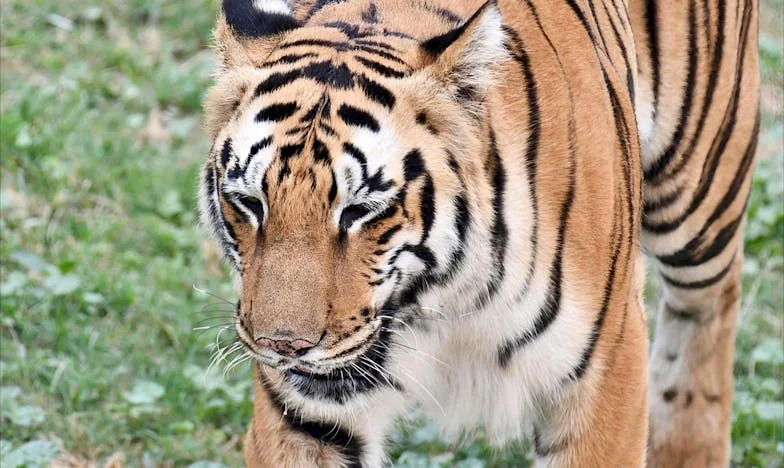 „Nu mai știu cine sunt” – Mărturia unei mame care a uitat să trăiască pentru ea însăși