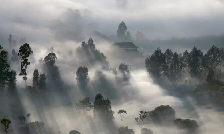 Piatra de mormânt furată: Povestea unei mame care nu-și găsește liniștea