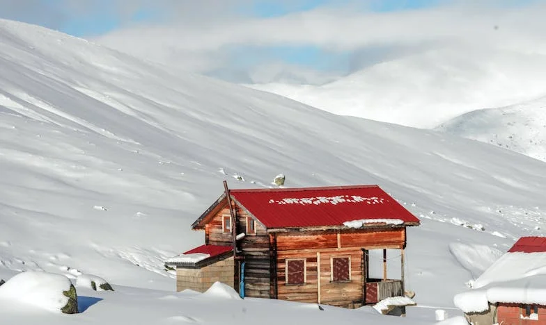 Povara tatălui: Când familia devine o povară, nu un sprijin