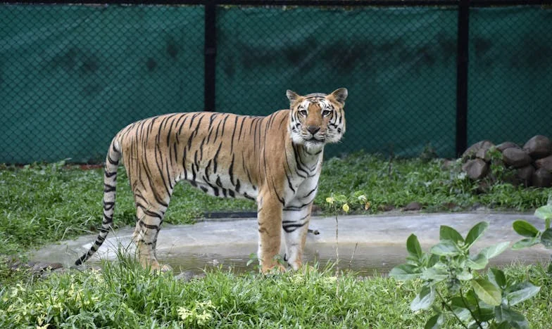 Ultima Toamnă Acasă: Povestea unei Bunici în Fața Deciziilor Familiei