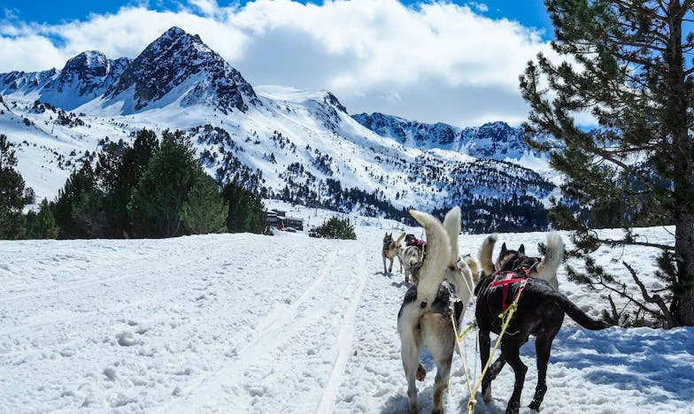 Ultimatumul: Între Visul de Familie și Casa Bunicii