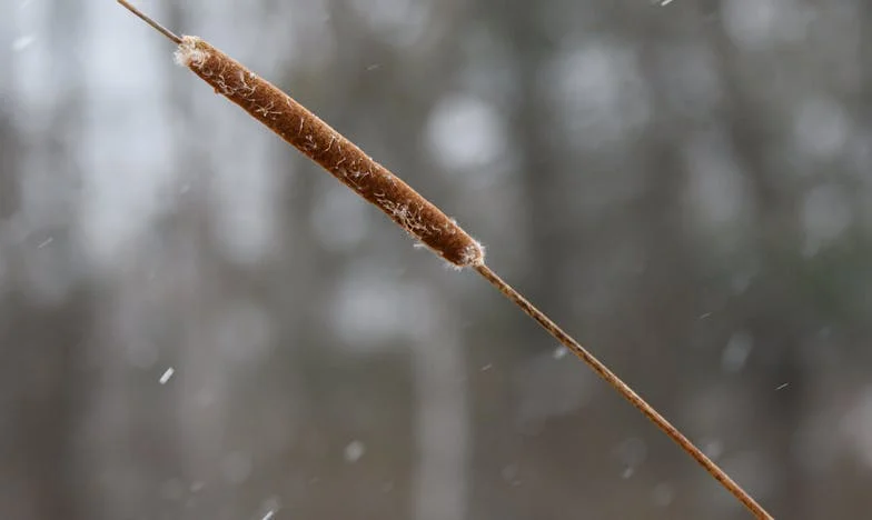 Umbrele dintre noi: Povestea unei mame și a fiului ei