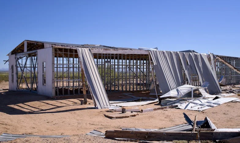 Un singur telefon și viața mea s-a schimbat: Povestea unei femei care a renăscut din cenușă