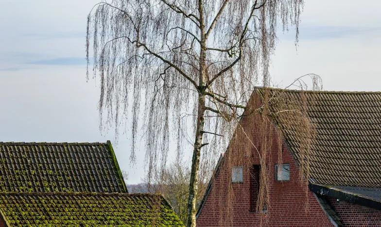 Ziua mea care mi-a sfâșiat sufletul: Trădare, secrete și un adevăr imposibil de uitat