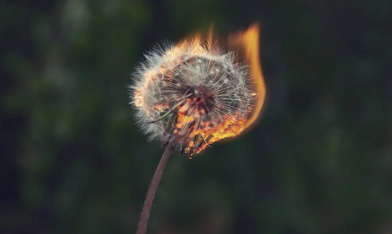 Ajutor! Nora mea îmi distruge familia: Povestea unei mame care nu mai știe ce să facă