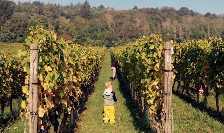 Când mama sună la răsărit – Povestea unei iubiri sufocate de control