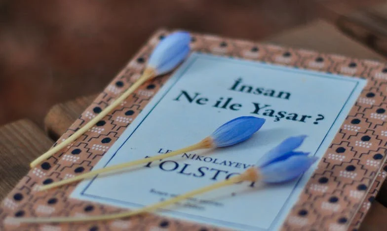 Casa din stâncă: Prețul a trei decenii de viață