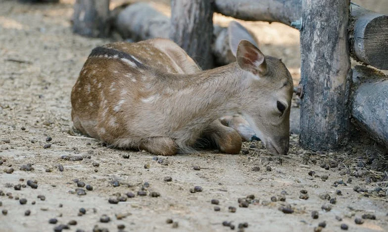 Cum am aflat că mama mea ascunde o boală gravă și cum mi-a schimbat viața această descoperire