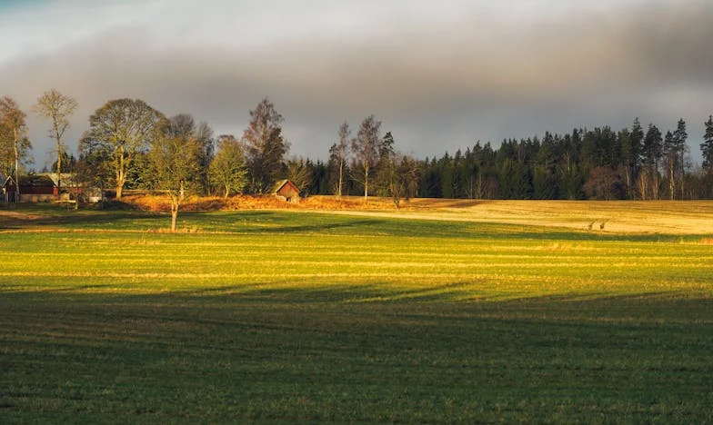 Lovitura care mi-a schimbat viața – Mărturia unei mame românce despre violența domestică