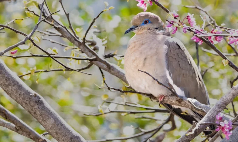 Mama mă acuză pentru necazurile noastre financiare: Povestea mea despre vină, sacrificiu și dorința de a fi înțeleasă