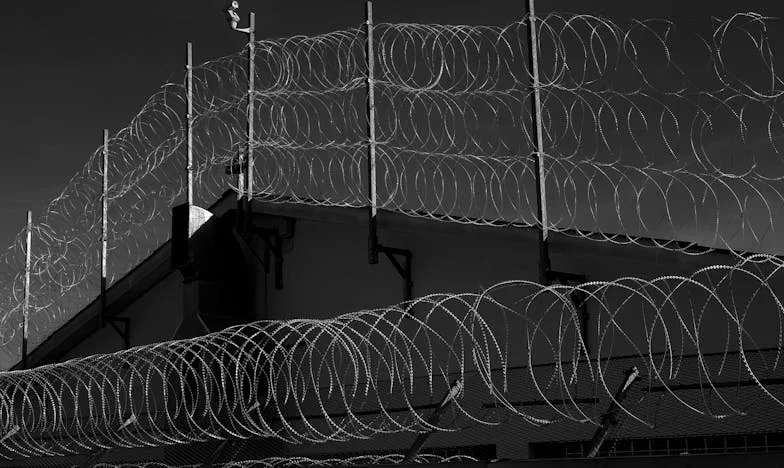 „Nu veni duminică.” Cum un singur mesaj de la nora mea mi-a sfâșiat inima și m-a făcut să mă întreb dacă mai am loc în propria familie