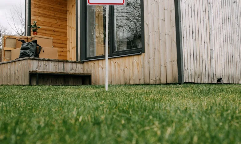 Oaspetele nepoftit la masa de familie: O seară care mi-a schimbat viața