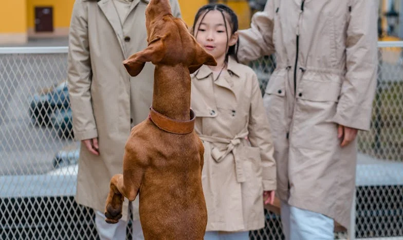 Prea tânără pentru a fi mamă: Povestea mea de adolescentă cu un copil în București