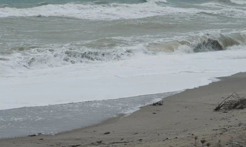 Socrii mei preferă mașina în locul nepotului? Lupta mea pentru familie și înțelegere