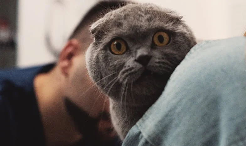 Soțul meu a decis că bunica lui trebuie să se mute la noi: când m-am opus, a spus că divorțăm