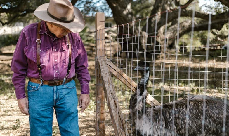 Umbra trecutului lui: Lupta mea pentru viitorul familiei noastre