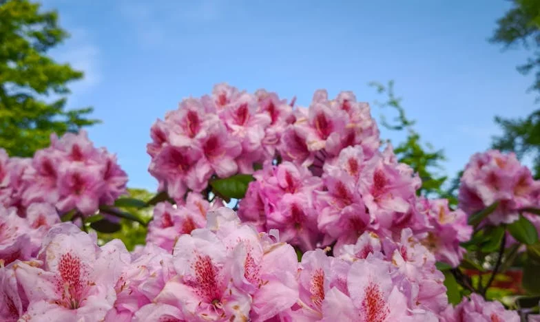 Am ales pe mine însămi, tu ai ales șosetele altcuiva – Poveste despre respectul de sine, familie și decizii grele