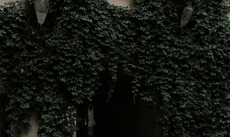 Am descoperit că soacra mea îmi hrănea copilul cu mâncare din gunoi: am pus piciorul în prag și am ales să plec