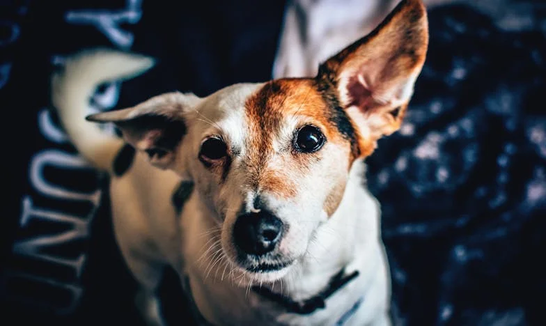 „Am primit un mesaj pe Facebook de la o femeie necunoscută”: Ce mi-a spus despre soțul meu mi-a distrus lumea