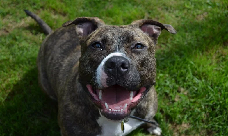 Când familia nu mai e acasă: Povestea Mariei și ultimatumul care a schimbat totul