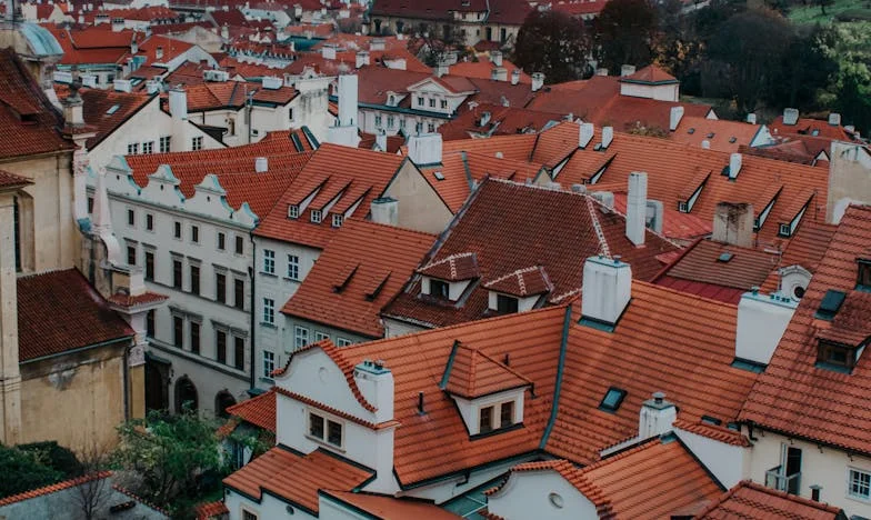 Când fiul meu s-a căsătorit în secret: Povestea unei mame care și-a pierdut încrederea