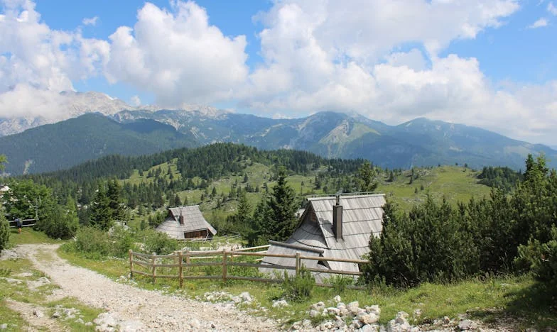 Când soacra decide pentru mine: Povestea unei voci pierdute și a curajului regăsit