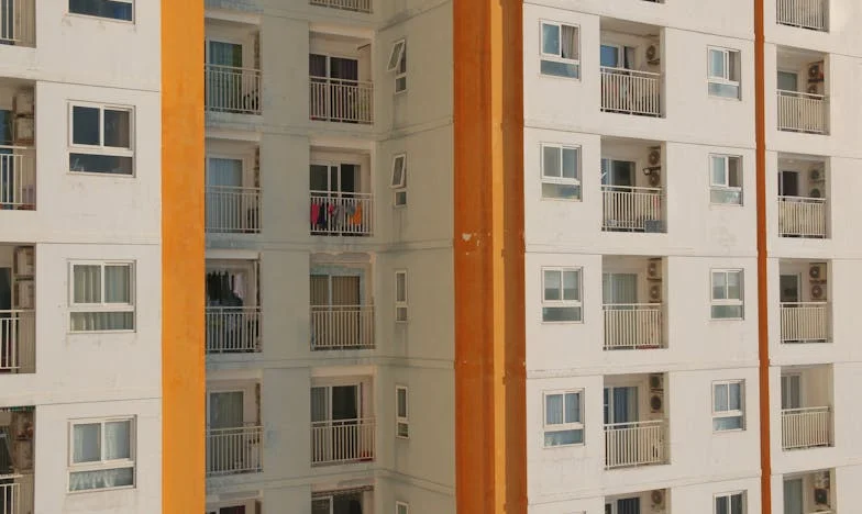 Când Testamentul Se Frânge: Povestea Mea Despre Adevăruri Ascunse și Legături Rupte