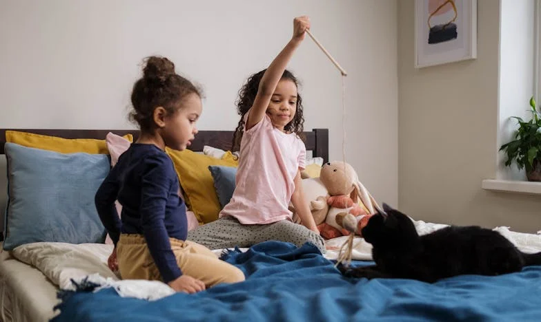 Căruciorul care a rupt liniștea familiei mele – o poveste despre alegeri, regrete și speranță