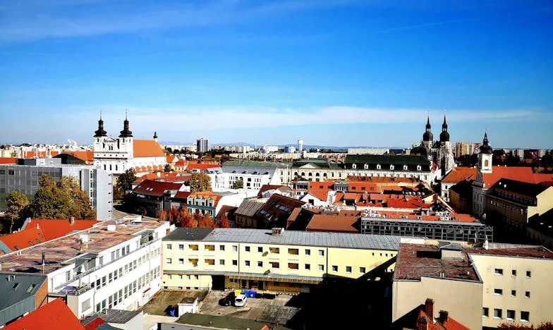 „Ei bine, acum e rândul tău să ne ajuți cu renovarea”, a anunțat vesel fratele meu. Dar adevărul e altul.