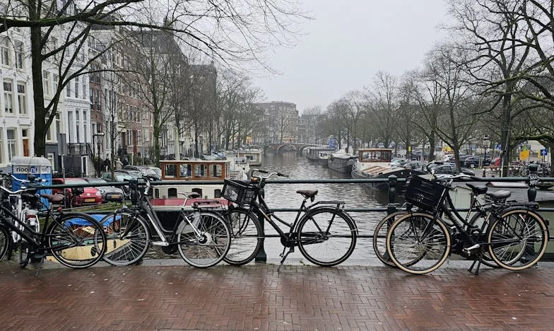 Grădina care mi-a adus înapoi fiica – Povestea unei împăcări neașteptate