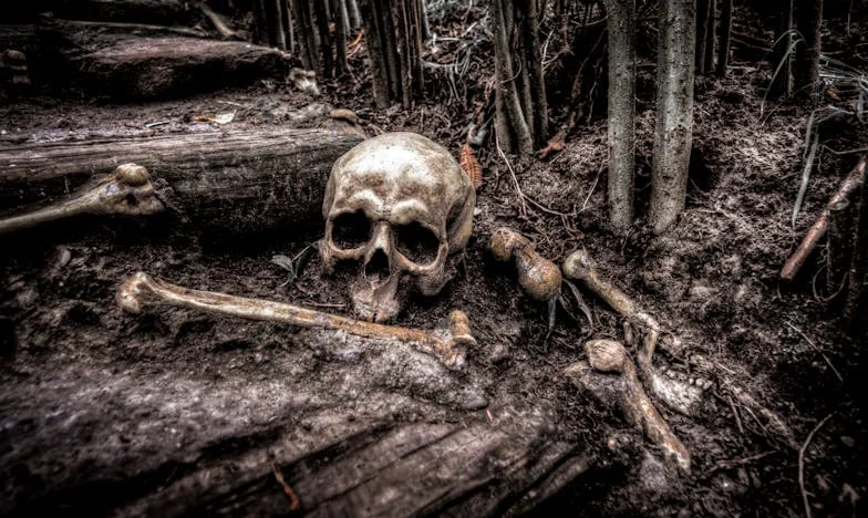 În umbra tăcerii: Povestea mea despre dependență și iertare