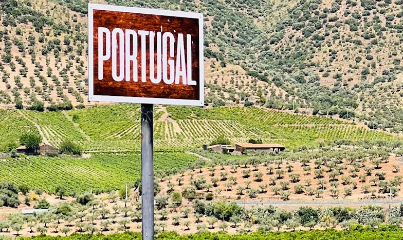 Între ciocan și nicovală: Povestea unei soacre din București