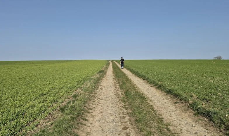 Între iubire și dreptate: Povestea unei familii pierdute și lupta pentru casă