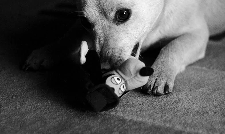 „Irina, ai născut? Hai, arată-ne copilul!” – Poveste despre granițe, curiozitate și curaj într-un bloc românesc