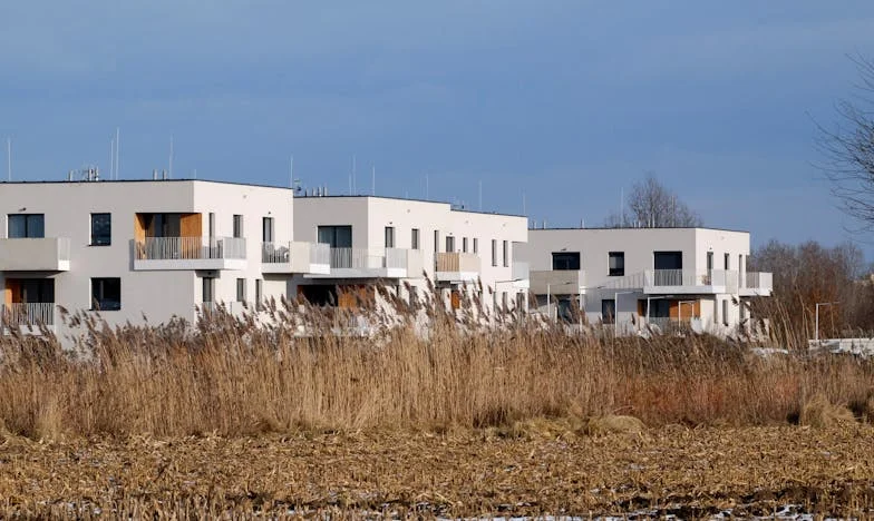 Moja mamă împarte moștenirea cum vrea ea: De ce unii nepoți contează mai mult decât alții?