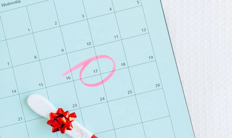 „Nu, mama ta nu va locui cu noi!” – Lupta mea pentru casă și demnitate