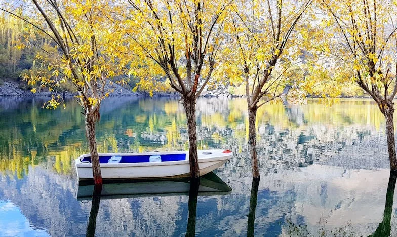 Nu mi-am dorit niciodată să plec de acasă, dar viața nu m-a întrebat