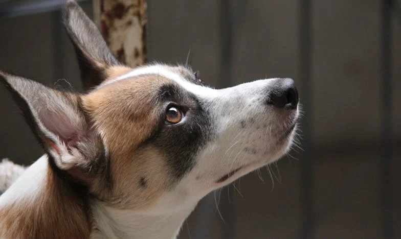 Secretul de pe Strada Mare: Când nepotul meu mi-a deschis ochii