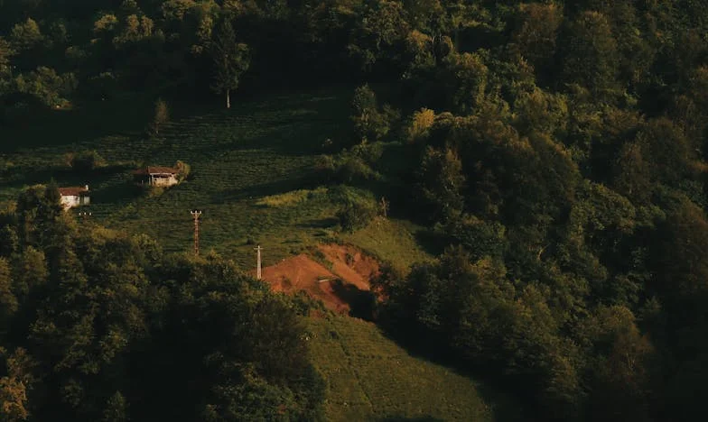 Testamentul lui David: Trădare sau Neînțelegere?