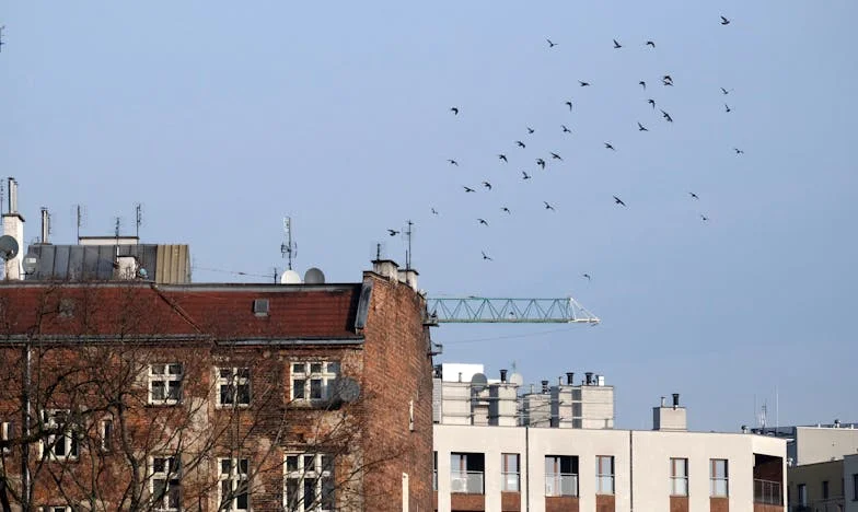 Trădarea din umbra cotidianului: Cum mi-a fost sfâșiată viața într-o singură zi