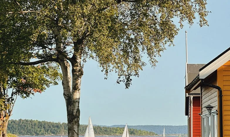 Trei nașteri într-un singur an: Povestea mea despre curaj, judecată și iubire