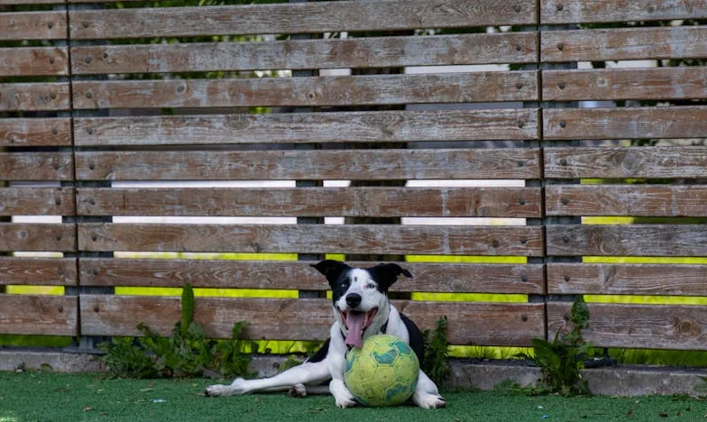 Viața într-o cameră cu trei nepoți și încă unul pe drum: Povestea unei bunici din România