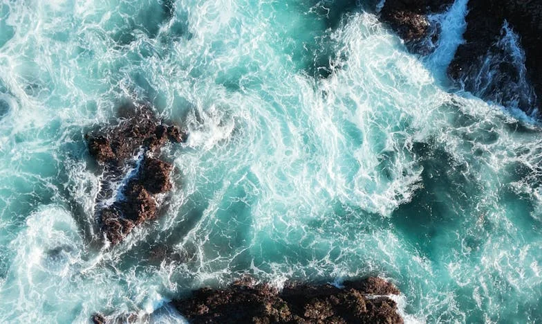 Weekendul în care am devenit invizibilă în casa fiului meu din București