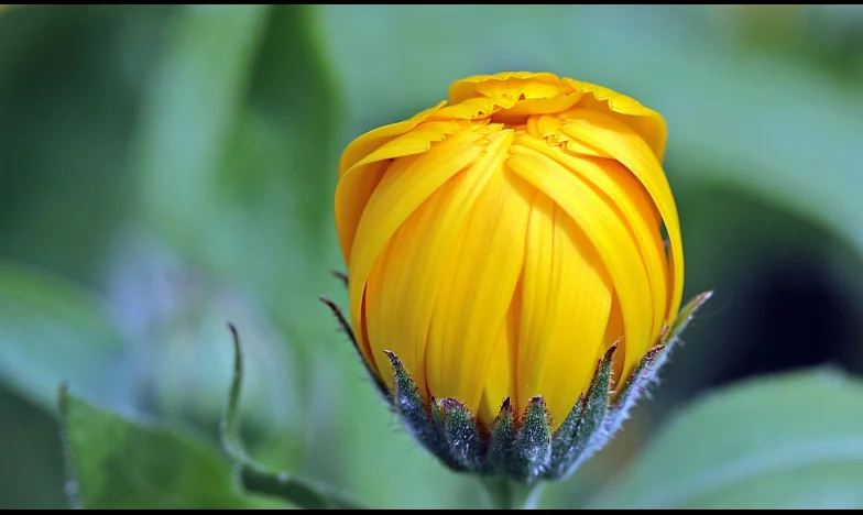 Când Soțul Meu Era Plecat, Soacra M-a Dat Afară din Casă: Povestea Trădării și a Curajului