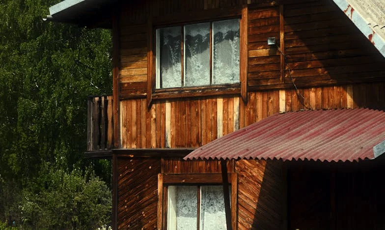 Copilul de la ușă: Povestea unei iubiri care sfidează sângele și a secretelor care dor