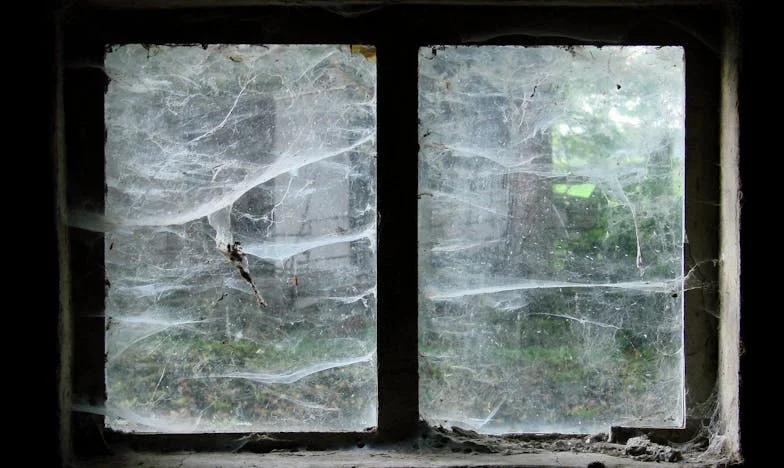 După divorț am jurat că nu voi mai iubi niciodată. Dar el știa să asculte – și asta m-a doborât