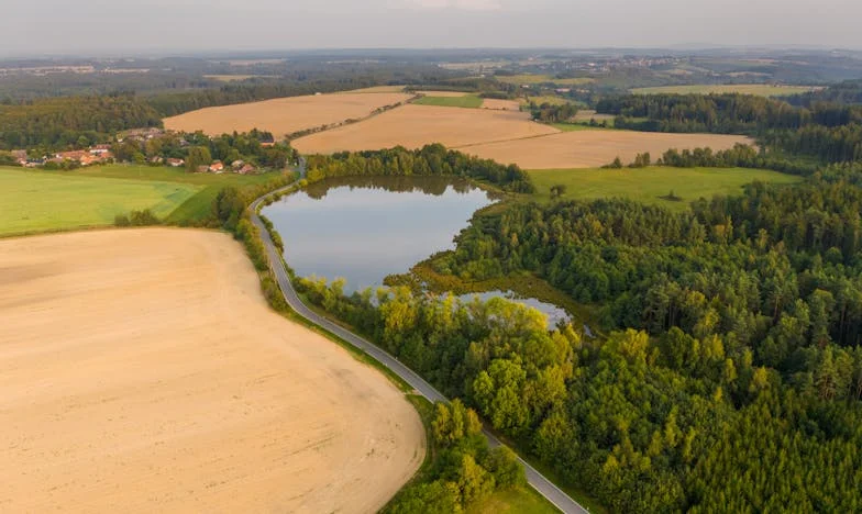 Ești lumea mea: Povestea unei surori, a sacrificiului și a iertării