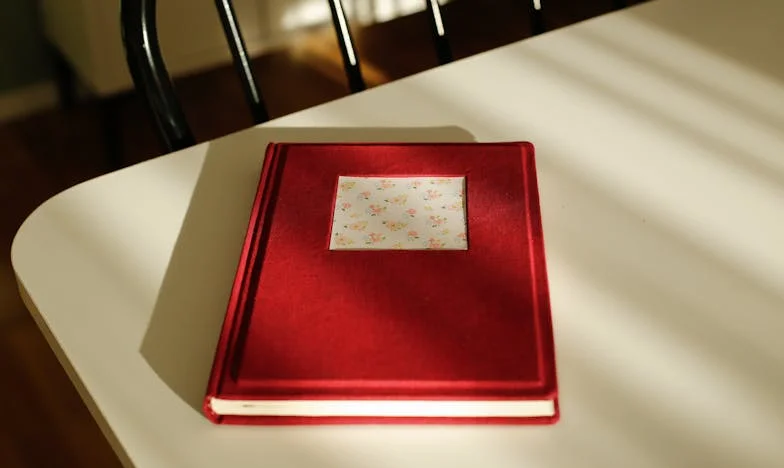 „Hai să împărțim nota”: Seara care mi-a schimbat perspectiva asupra iubirii