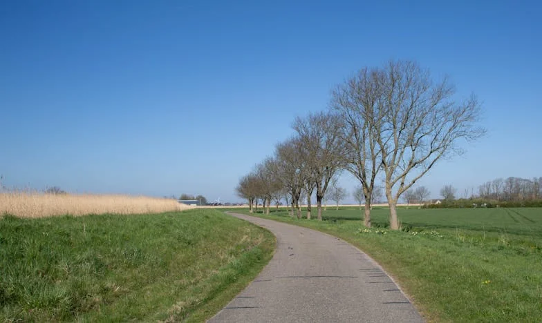 Noaptea în care am plecat de acasă: Cum s-a rupt familia mea și cum am încercat să o vindec