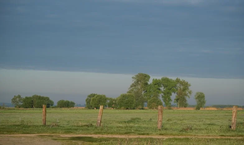 „Nu mai ești fiica noastră” – Povestea unei rupturi de familie